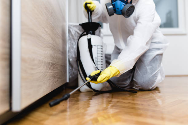 Best Best Pest Control Companies  in Lexington, VA