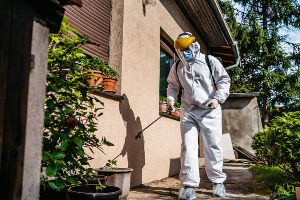 Best Affordable Pest Control Services  in Lexington, VA