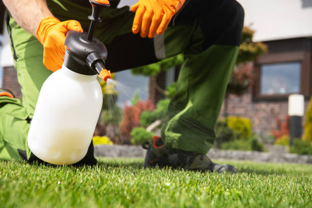 Best Bed Bug Extermination  in Lexington, VA