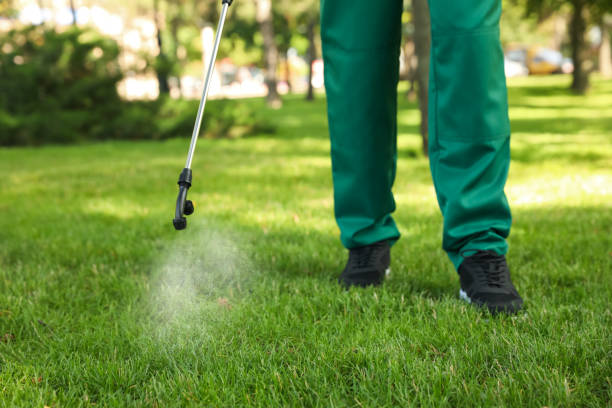 Best Ant Control Services  in Lexington, VA