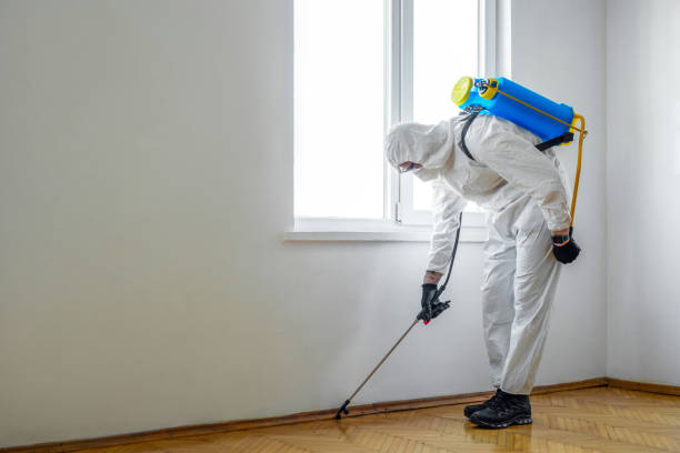 Best Bed Bug Extermination  in Lexington, VA