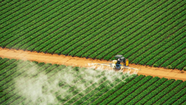 Best Pest Control Treatment  in Lexington, VA